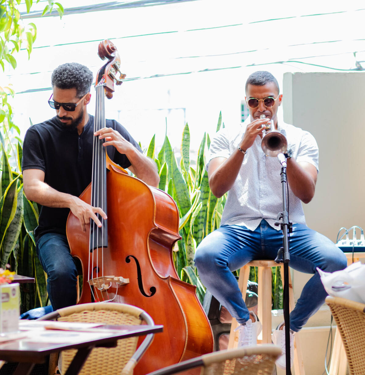 Música ao vivo